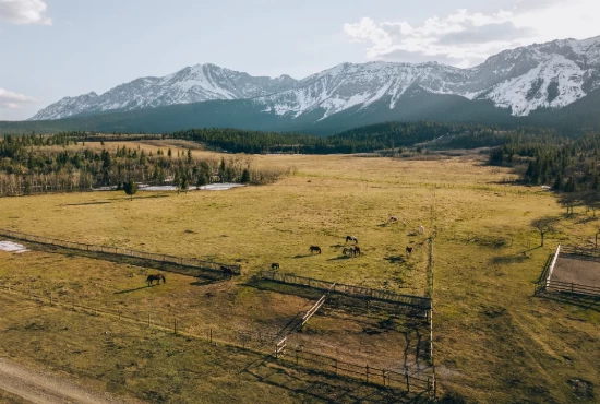 Pincher Creek, AB: Exploring the Jewel of the West - An Introduction to the City and its Weather